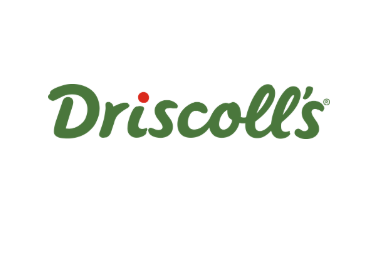 Driscoll's