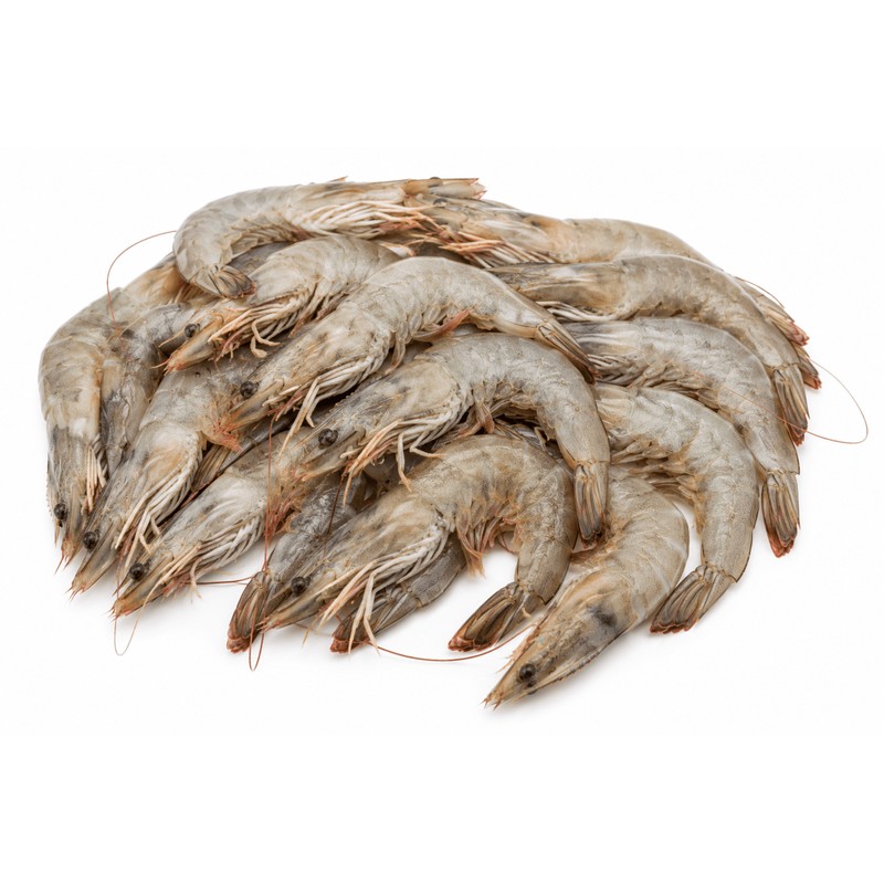 Whole Frozen Shrimp Size 10 - 20 - 1 kg