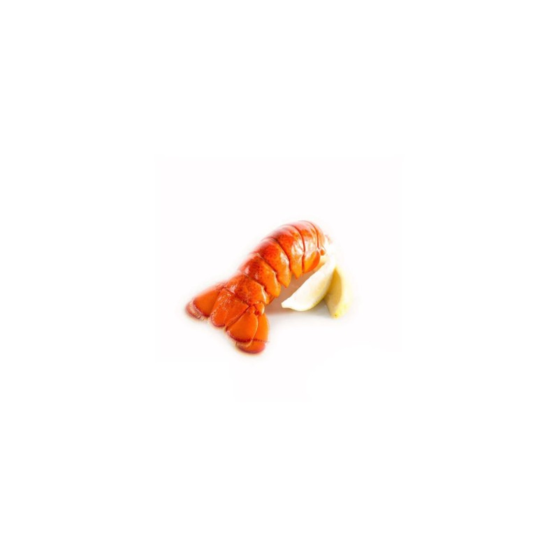 Frozen Lobster with Tail 4/6 -10 kg
