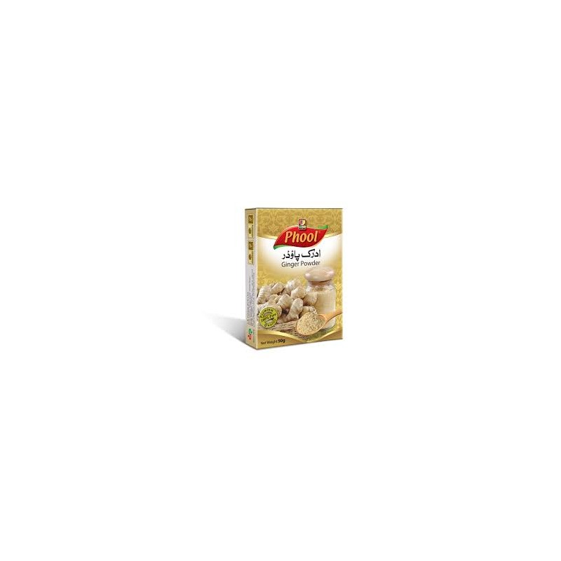 Phool Ginger Powder 100 gm × 48 - Carton