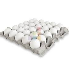 Eggs Large Size