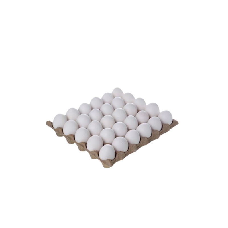 Egg Large 30 pcs × 12 - Carton
