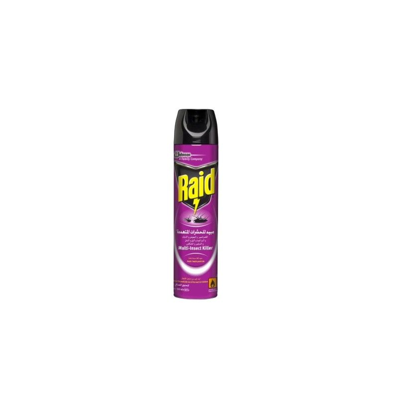 Raid Multi Insect Killer 300 ml × 12 - Carton